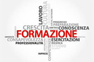 CONCLUSIONE CORSO DI AGGIORNAMENTO – IL CRANIO